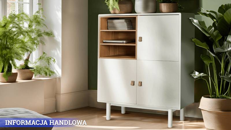 Komoda do przedpokoju – dobrze zorganizowana przestrzeń